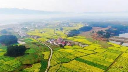 美麗江西“九江樣板”建設看成效 | 修水縣：“綠水青山就是金山銀山”省級實踐創新基地