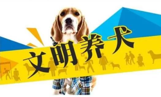 2023年3月1日起施行！《黃石市養犬管理條例》來了